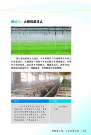 噴微灌技術推廣應用宣傳冊